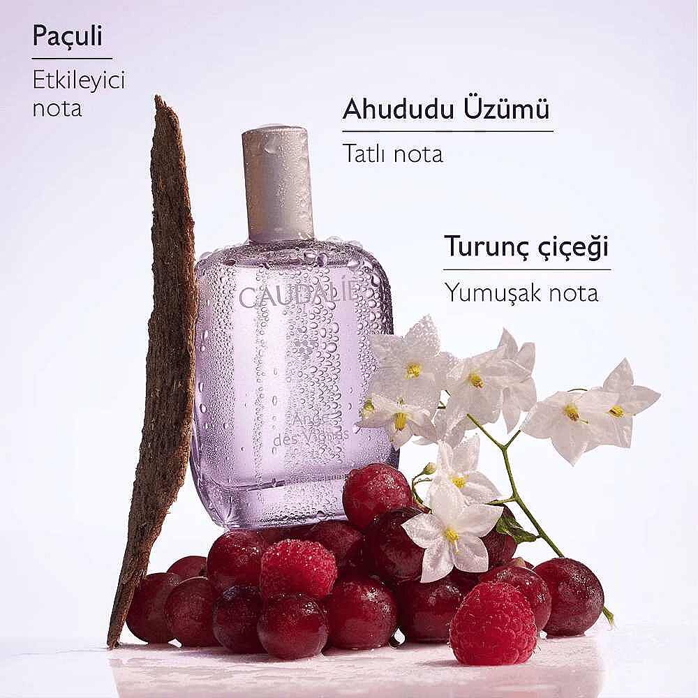Caudalie Ange des Vignes Parfüm 50 ml - 6