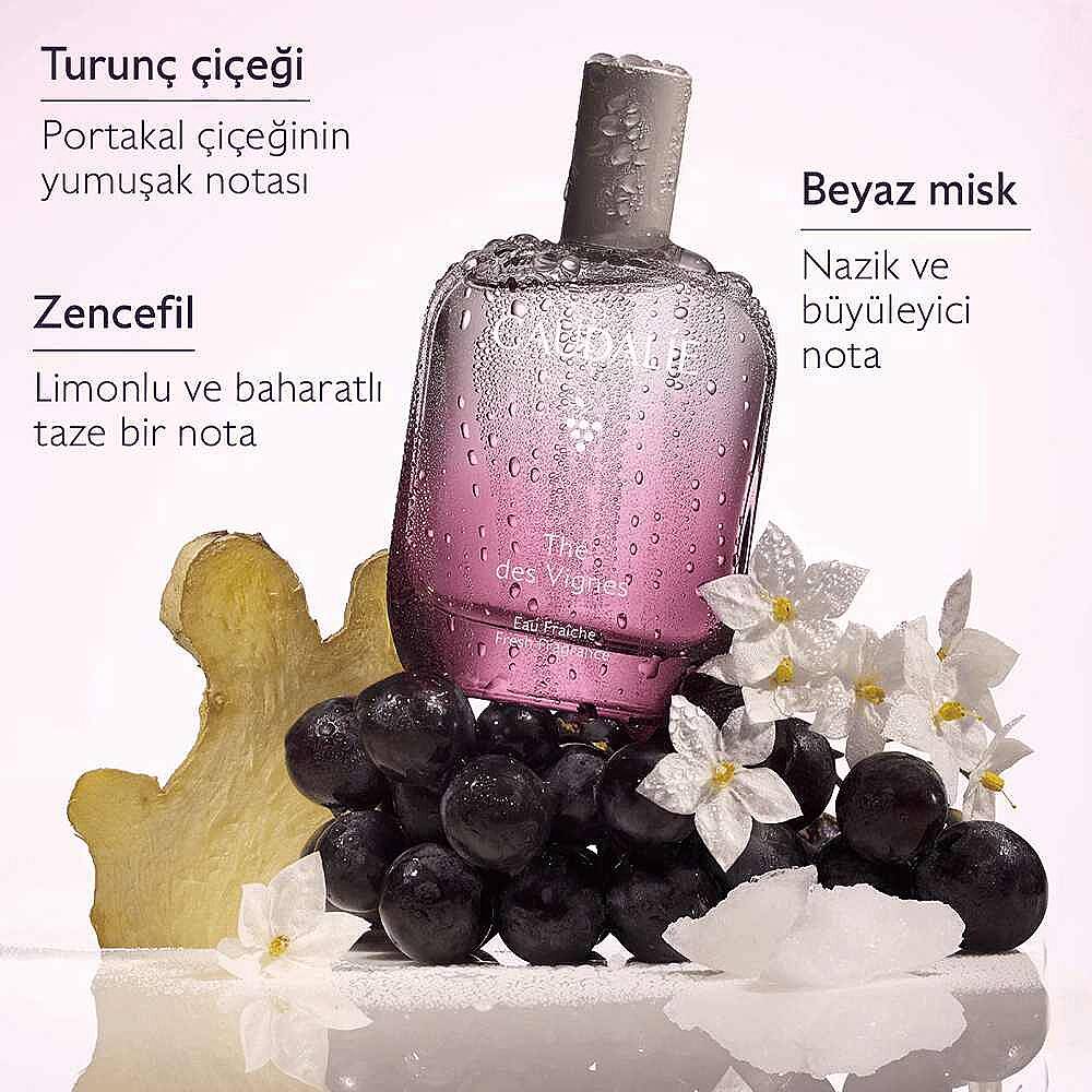 Caudalie The Des Vignes Aromalı Parfüm 100 ml - 7