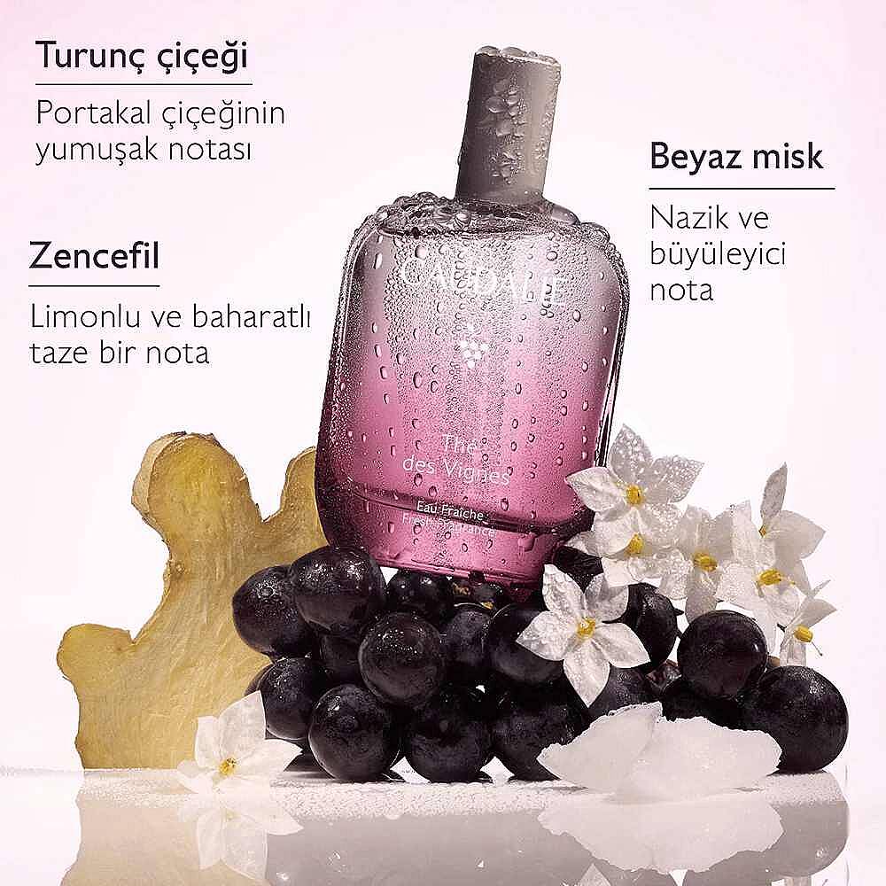 Caudalie The Des Vignes Aromalı Parfüm 50 ml - 7