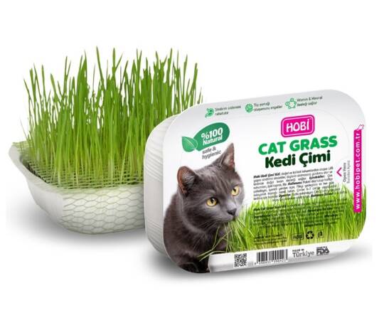 Hobi Fileli Kedi Çimi Cat Grass Ekonomik