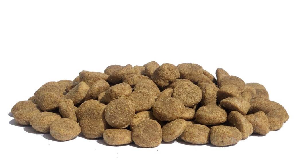 Hobi Hobidog Kuzu Etli Yetişkin Köpek Maması 15kg - 1