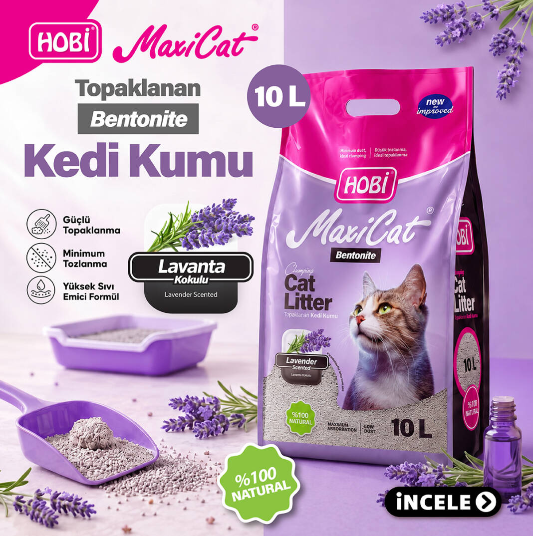 Hobi Maxicat Lavanta Kokulu Bentonit Kedi Kumu 10 Litre - 1