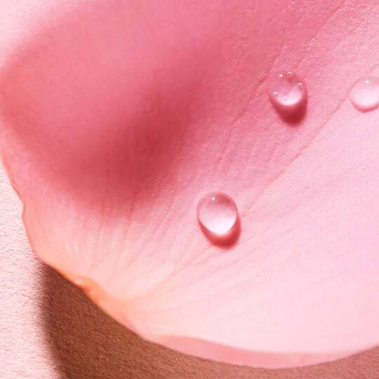 Nuxe Very Rose Fragrance 100 ml - 5