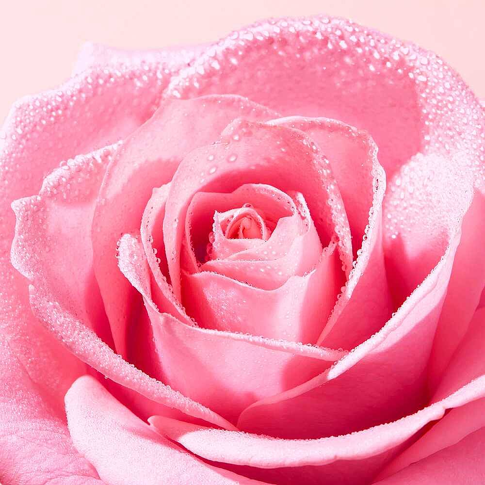 Nuxe Very Rose Hassas Temizleme Yağı 150 ml - 4