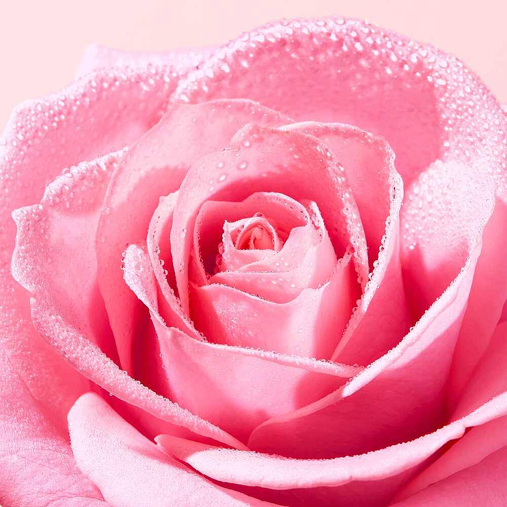 Nuxe Very Rose Yatıştırıcı Temizleyici Micellar Su 200 ml - 4
