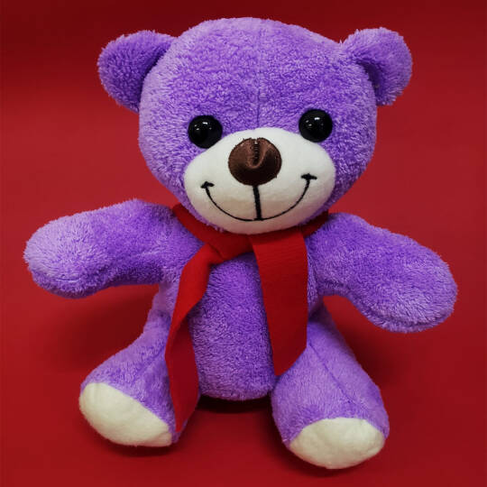 Öğretmenler Günü Hediyesi Peluş Ayıcık - 3