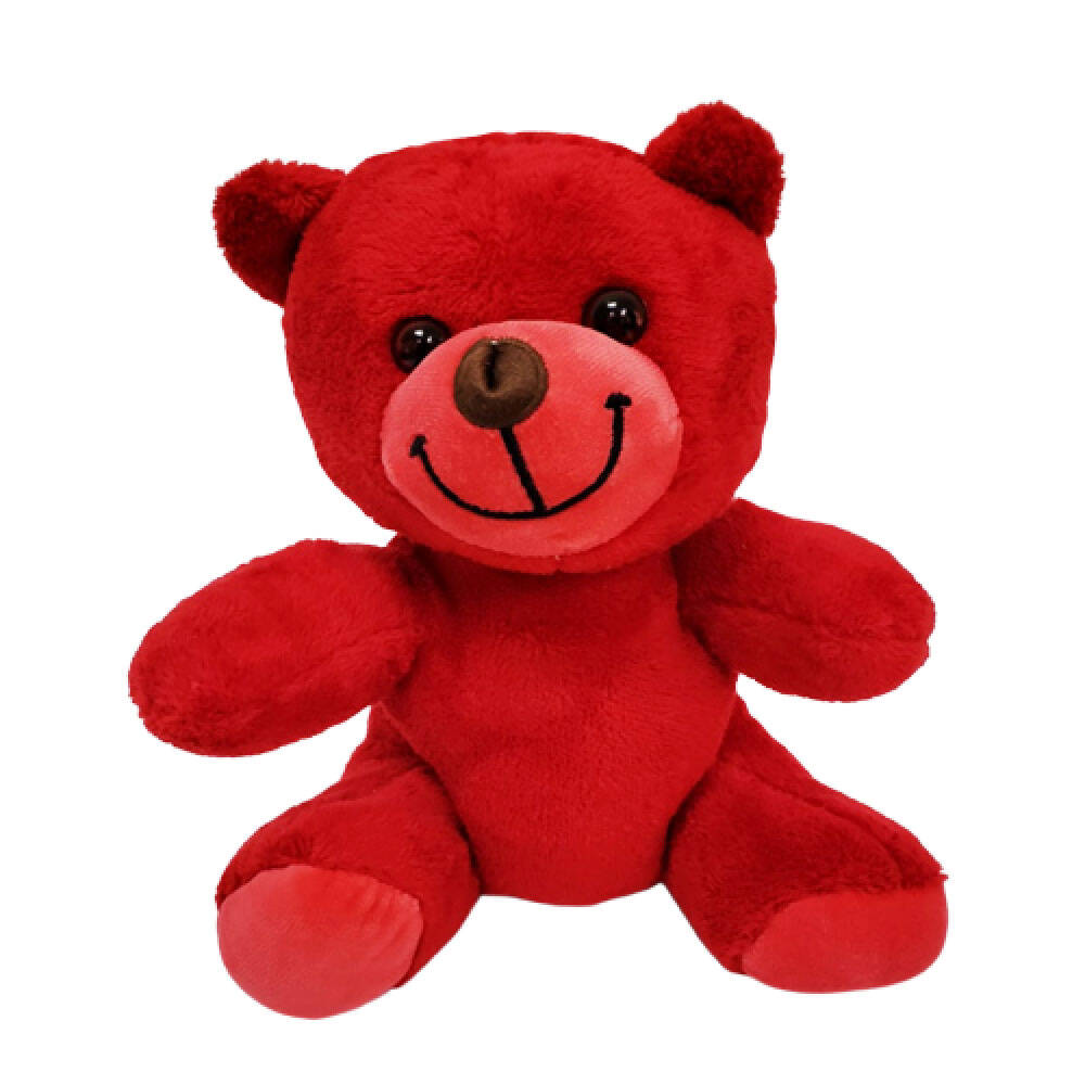Öğretmenler Günü Hediyesi Peluş Ayıcık - 5