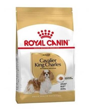 Royal Canin Cavalier King Charles Adult Köpek Maması 3 Kg - 1