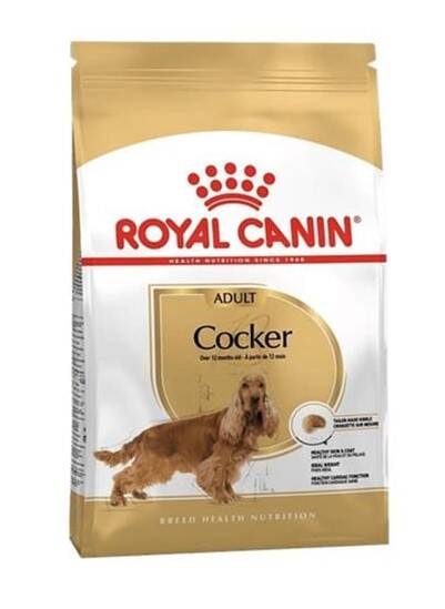 Royal Canin Cocker Adult Köpek Maması 3 Kg - 1
