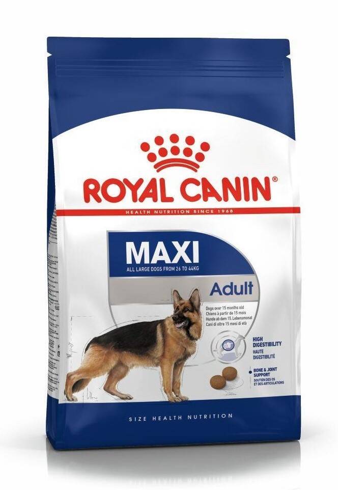 Royal Canin Maxi Adult Büyük Irk Yetişkin Köpek Maması 15 Kg - 1