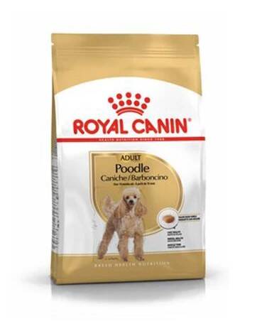 Royal Canin Poodle Yetişkin Köpek Maması 3 Kg - 1