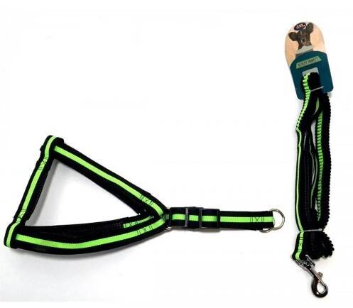 Yıldırım Pet Lastikli Takım Tasma Yk-527 Small - 1